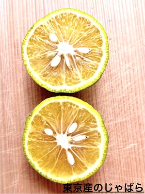 東京産じゃばら　じゃばら果汁