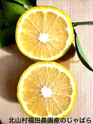 北山村じゃばら　福田農園　じゃばら果汁